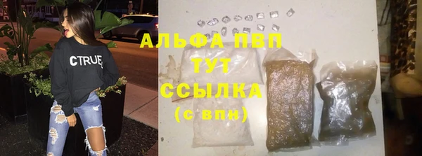 сатива Балахна