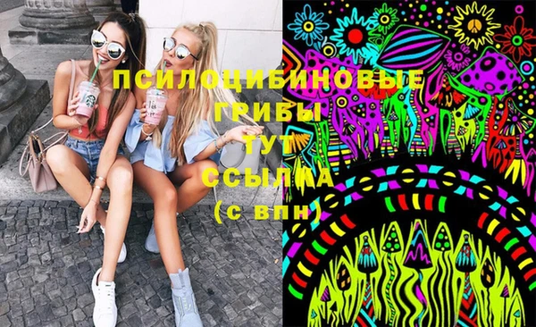 сатива Балахна