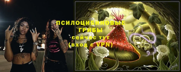 сатива Балахна